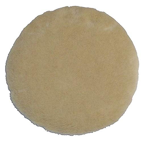 Oreck Commercial ORB550MC Orbiter Floor 