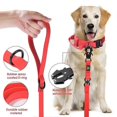 thumbnail image 4 of Long Pvc Leashes For Dog Training Waterproof Durable Handle Quick Release Frog, 4 of 5
