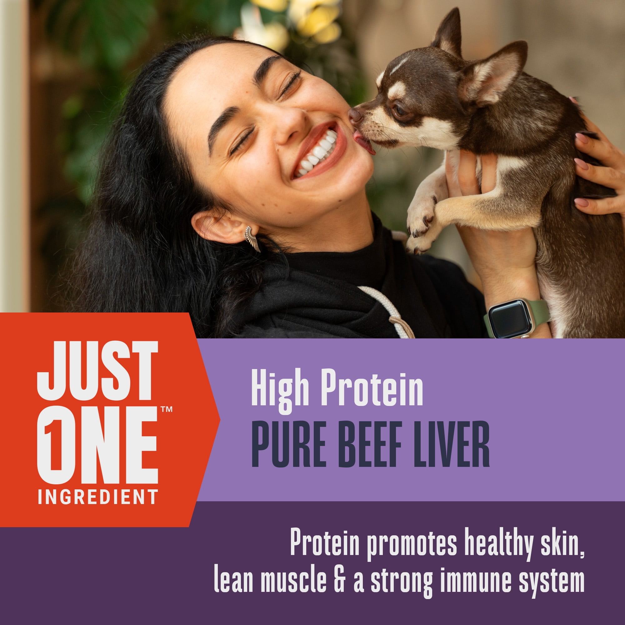 Whole Life Pet Whole Life Pet Just One Ingredient Beef Liver Treats for Dogs, 18oz