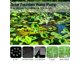 thumbnail image 5 of Fuente Flotante Solar Bomba 3W 1600mAh Batería para Jardín/estanque/piscina/pecera, 5 of 9