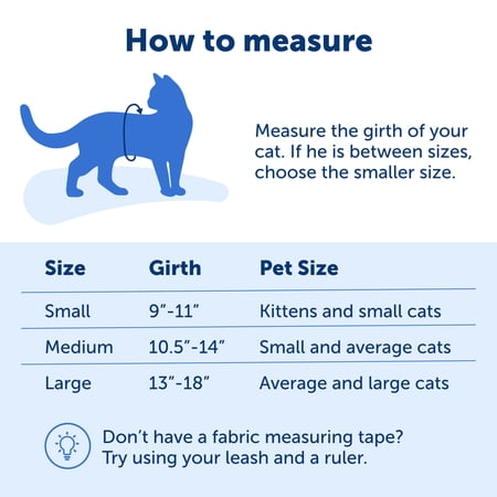 PetSafe Come With Me Kitty™ Harness and Bungee Leash, Large, Royal - Image 4