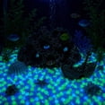 thumbnail image 3 of 500 Pcs Glow in Dark Rocks, Glow Pebbles Stones for Outdoor Garden, Glowing Rocks Outdoor Luminous Stone for Fish Tank Garden Patio Aquarium Walkway Driveway (Light Blue), 3 of 6