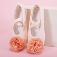 thumbnail image 6 of Abomasnow Girls Flower Crisscross Elastic Strap Split Sole Ballet Dance Shoes Casual Breathable Shoes, 6 of 9