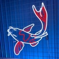 thumbnail image 2 of Glowneon Multi-color KOI fish Neon Sign, Long-lasting Wall Art Decor, 2 of 4