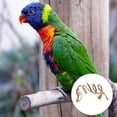 thumbnail image 3 of 1PC Parrot Climbing Rope Hanging Rope Toy Grey Parrot Toy Macaw Parrot Plaything, 3 of 6