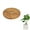 2PCS, variant on 2PCS Coconut Fiber Mulch Ring Tree, Protector Mat, 11. Inch Natural Coco Coir Tree Protection Ring Pot Soil Cover, Tree Rings Disc Cover for Indoor Outdoor Plants, Garden Supplies