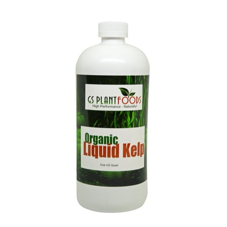 Liquid Kelp Organic Seaweed Fertilizer, Natural Kelp Seaweed Based Soil Growth Supplement for Plants, Lawns, Vegetables - 1 Quart (32 Fl. Oz.) of (Best Organic Fertilizer For Rhubarb)