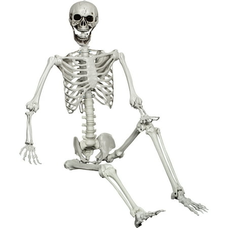 Halloween Posable Skeleton Realistic Life Size Human Skeleton Bones with Movable Joints for Halloween Haunted House Indoor Outdoor Décor (Total 5.4ft)