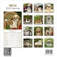 thumbnail image 3 of 2025 2026 Shih Tzu Calendar - Dog Breed Monthly Wall Calendar - 12 x 24 Open - Thick No-Bleed Paper - Giftable - Academic Teacher's Planner Calendar Organizing & Planning - Made in USA, 3 of 7