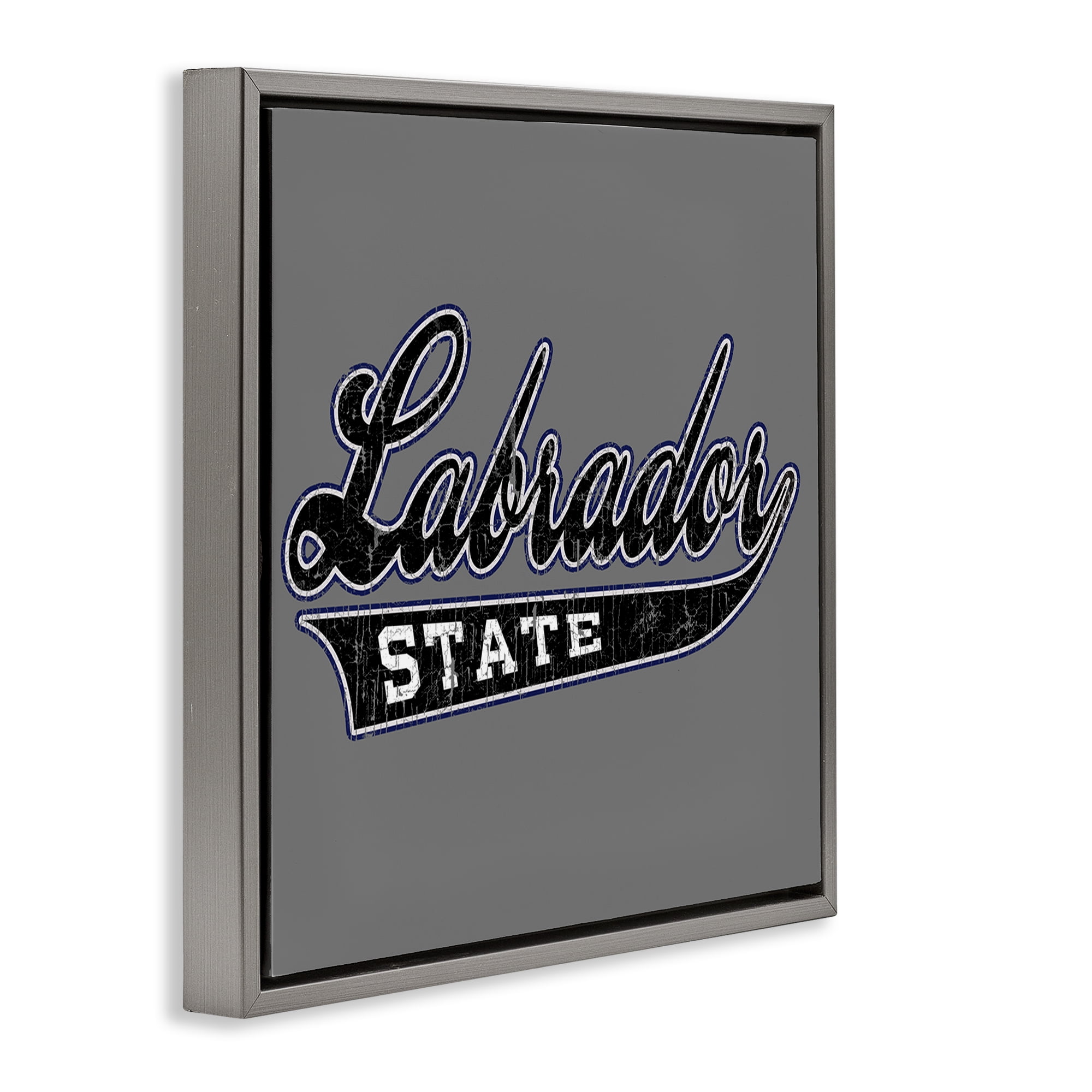 Stupell Industries Varsity Labrador State College Novelty & Humor Painting Gray Floater Framed Canvas Art Print Wall Art, 18 x 18