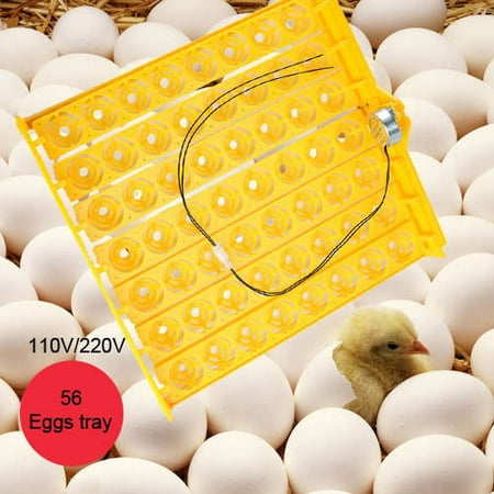 110V Or 220V Motor Automatic Egg Incubator 56 Chicken Egg Turner Tray Quail Duck Incubator Household
