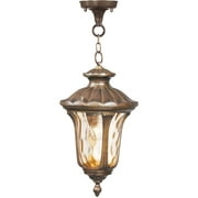 Livex Lighting Collection Fixture 7654-50