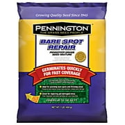 (1 Each), Pennington Seed 100536812 Grass Sd Spot Repair 1 Pound North