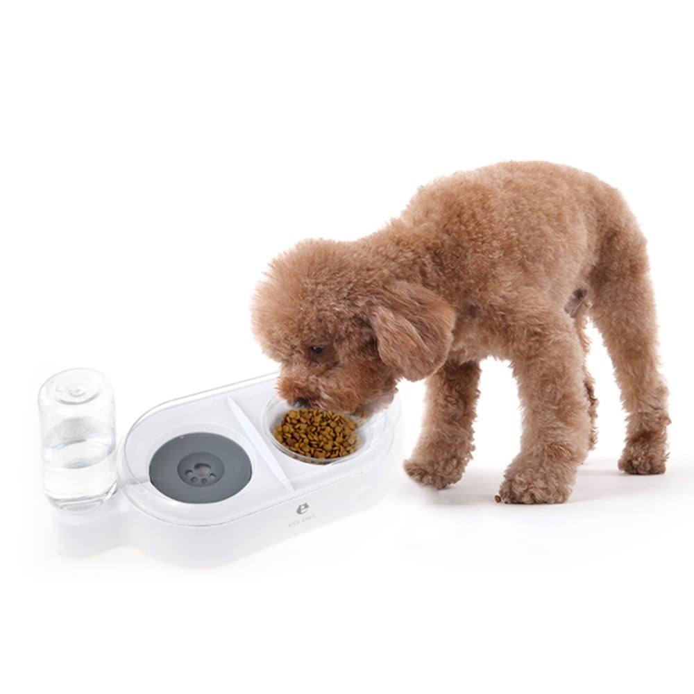 gravity feed dog water bowl