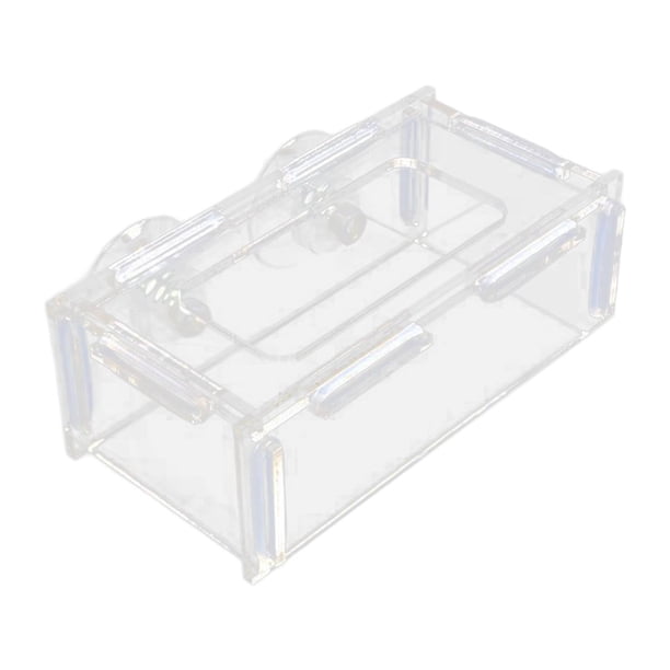 Alimentador de peces para pecera, tubo de alimentación para camarones, fácil de limpiar, resistente y fácil de montar. S