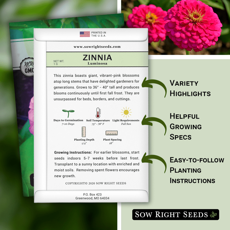 Zinnia Button Box Dwarf Mix Seeds – Heirloom, Non-GMO, Attracts Butterflies (100 Seeds)
