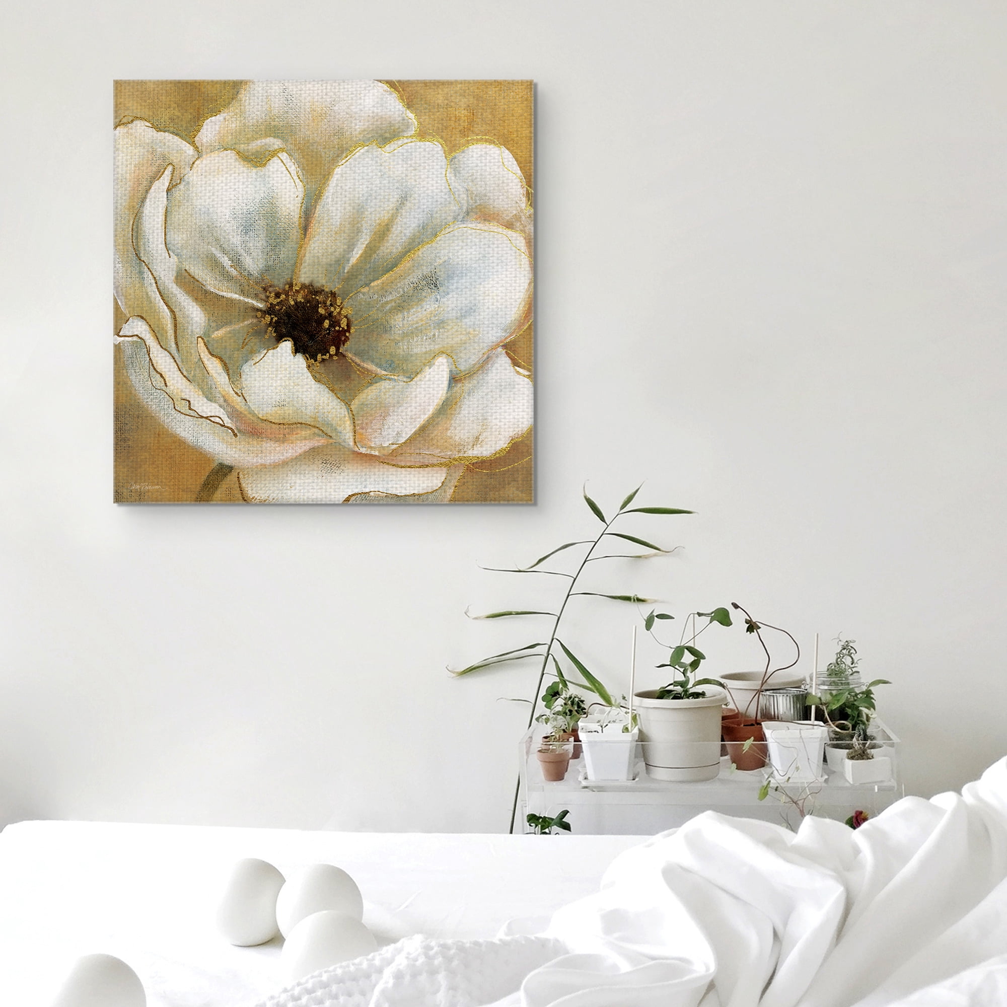 Masterpiece Art Gallery Golden Splendor I Anemone By Carol Robinson Canvas Art Print 30" x 30"