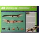 thumbnail image 2 of Modelo Anatomico Del Cocodrilo 4D Master Crocodile Vision 26 Pzas, 2 of 2