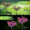 thumbnail image 5 of Solarera Waterproof Solar Powered Phalaenopsis Flower Lights, Purple, 5 of 7