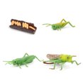 thumbnail image 1 of Bewildely 1 Juego de modelo de gusano de pala, Material plástico Premium, figuritas de insectos significativas, modelos de crecimiento educativo temprano Juguetes Educativos langosta tipo 2 NO9 Bewildely FN010083-08, 1 of 6