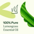 thumbnail image 5 of Plant Therapy Lemongrass Essential Oil 100% Pure, Undiluted, Natural Aromatherapy 10 mL (1/3 oz), 5 of 7