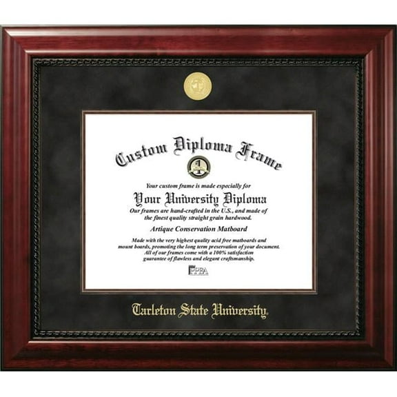 Campus Images TX968EXM-1411 11 x 14 in. Tarleton State University Executive Diploma Frame
