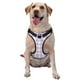 thumbnail image 1 of Fotbe Purple Checkboard Arnés para Perro con Estampado –Chaleco Ajustable Acolchado con Asa de Control para Perros Grandes-Medium, 1 of 6