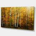 thumbnail image 2 of Yellow Colorful Autumn Forest - Forest Canvas Art Print, 2 of 4
