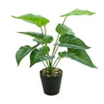 thumbnail image 4 of Planta en maceta de tortuga tropical Cateissary hojas artificiales realistas JH5471, 4 of 6