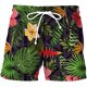 thumbnail image 1 of Pantalones cortos de baño estampados para hombre, Shorts de playa hawaianos, de secado rápido, informales, para vacaciones, verano, 2022 Fivean unisex, 1 of 2