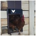 thumbnail image 6 of Automatic Chicken Coop Door, 6 of 6