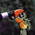 thumbnail image 3 of Telescopic Pruning Shears with Long Handle, Long Reach Pruning Shears for Gardening, Grass Trimmer with Handle, Branch Cutter, 3 of 4