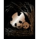 Kit d'Art de Gravure de Feuille de Cuivre 8 "X10"-Panda & Bébé – image 2 sur 2