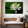 thumbnail image 3 of Elephant Stock White Lotus Flower Wall Art - Horizontal Canvas Wall Art - Living Room Wall Decor - Floral And Botanical Canvas - Green And Black Decor - 51" x 34", 3 of 8