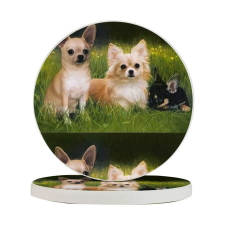 

Circular Drink Coasters Set Chihuahua Puppy Beautiful Home Decor Diatomite Heat-Resistant Diatomite Protect Table Countertop
