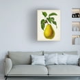 thumbnail image 3 of Vision Studio 'Antique Fruit VII' Canvas Art, 3 of 3