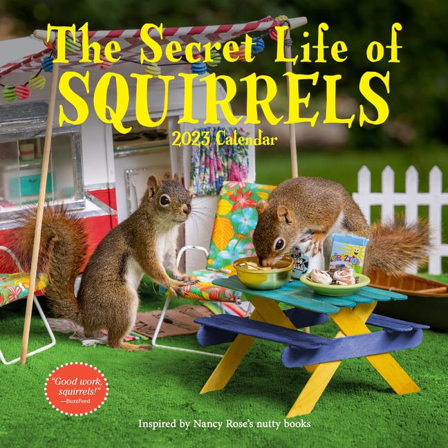 the-secret-life-of-squirrels-wall-calendar-2023-calendar-walmart