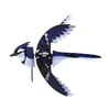 Premier Designs Eastern Blue Jay Spinner