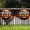 A, variant on Halloween Garden Flags 2 Pack Spooky Yard Decorations Durable Polyester Outdoor Indoor Wall Hanging Banners 17.7x35.4 in