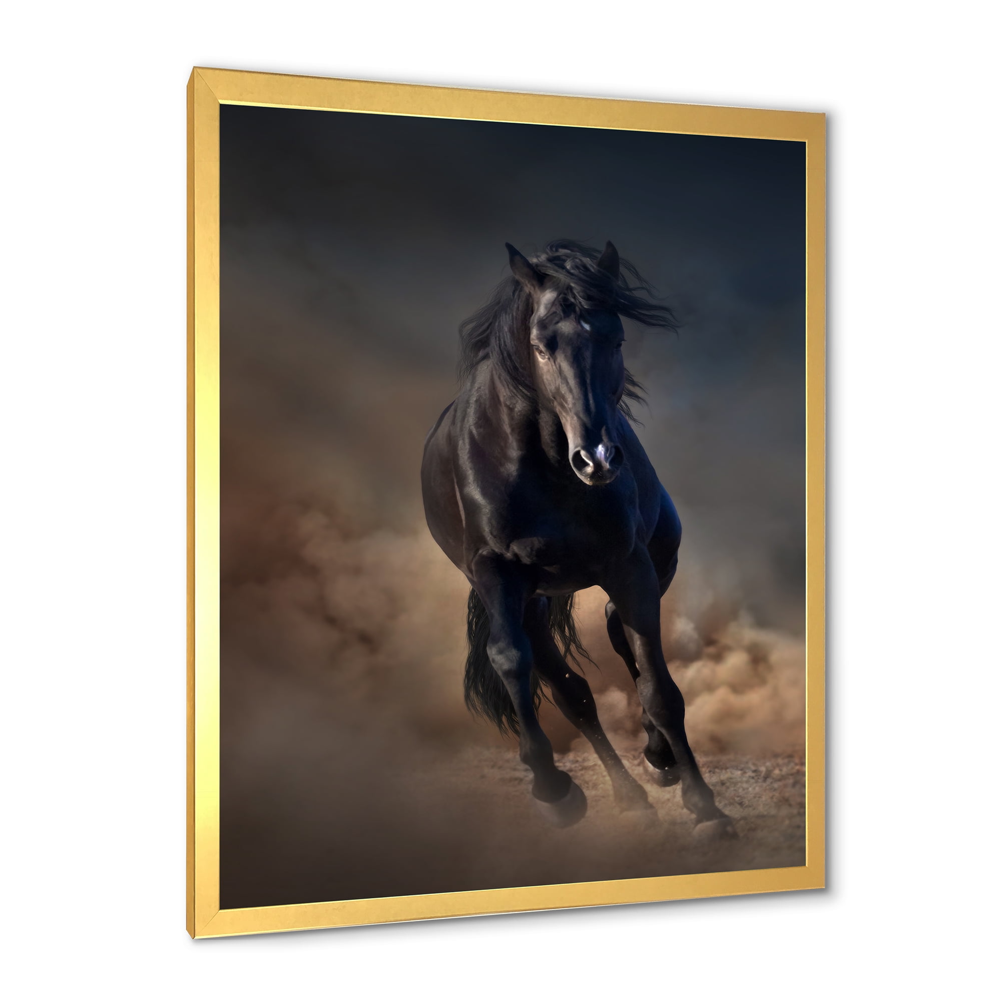 Designart 'Close Up Of Thoroughbred Nonius Stallion Horse I' Farmhouse Framed Art Print