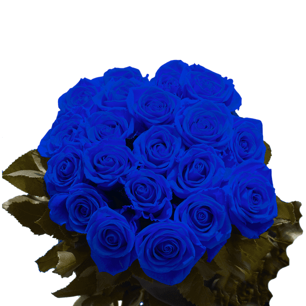 50 Stems Of Blue Roses Fresh Flower Delivery Walmart Com Walmart Com