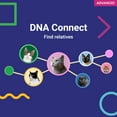 thumbnail image 2 of Koko DNA Test for Cats | Advanced Range | 150 Breeds, Health & Traits Reports | All Fees Included, 2 of 9