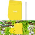 thumbnail image 1 of 60x Prevención de moscas Biodegradable Mata moscas, Mata moscas adhesivo, Planta matamoscas de interior, Mata moscas de interior ER, 1 of 5