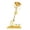 Gold, variant on 24K Golden Rose, Plastic Long Stem Real Rose Dipped in Gold with Gift Box, Best Gift for Valentine's Day Mother's Day Christmas Birthday with Gift Box