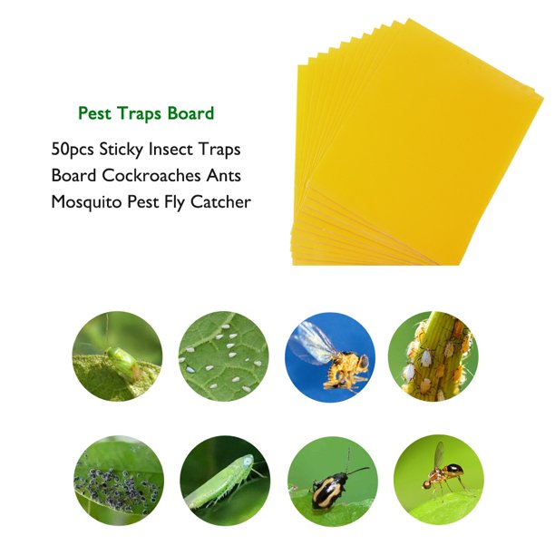 50 Uds. Tablero de trampas adhesivas para insectos, cucarachas, hormigas, mosquitos, plagas, atrapamoscas Sywqhk Libre de BPA