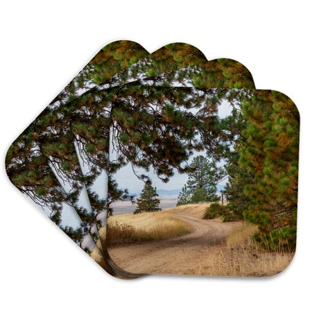 3drose, Washington State, Palouse. Pine Trees Along Road Near Farmington., Set of 4 Coasters - Cork