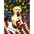 thumbnail image 1 of Carolines Treasures AMB1314CHF Santas Helpers Bas de Noël Drapeau Labrador Toile Taille Maison, 1 of 4