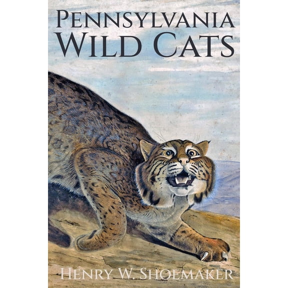 Pennsylvania Wild Cats, (Paperback)