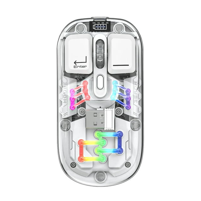 Graflsoa Souris Sans Fil Transparente à Double Mode H118 avec Éclairage RVB, 2,4 G+Bluetooth, 1600 Dpi Réglable, Clics Silencieux, Recharge USB‐C, Batterie 400 mAh et Couvercle Magnétique