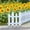 🔥 White A_New, variant on onlyliua 2‑Pack White Plastic Garden Picket Fence Mini Border Panels Decorative Lawn Edging for Flower Beds Planters Patio Pathway Easy Install Yard Barrier Outdoor Decor